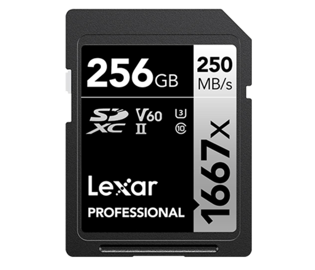 LEXAR  LSD256CB1667 - 716617 - zdjęcie